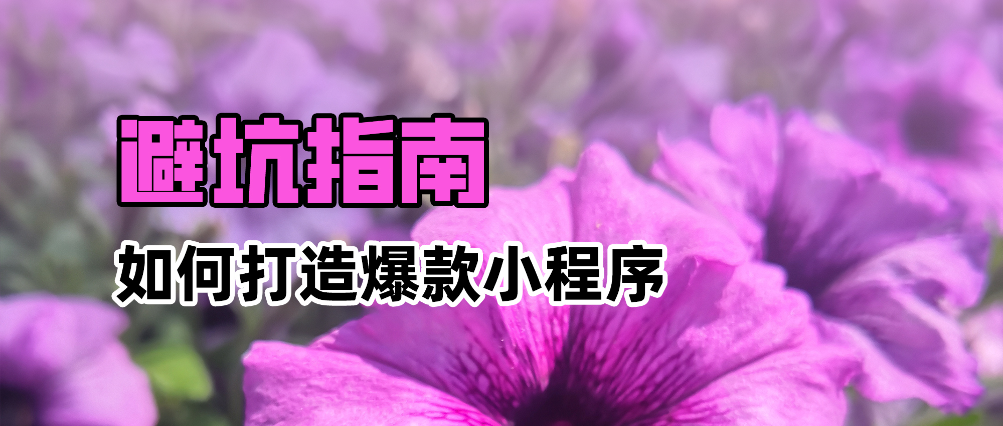 bd.jpg